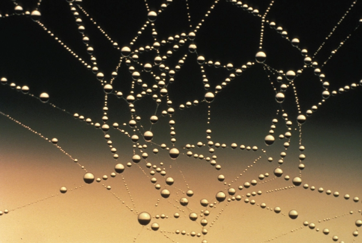 A beginner’s guide to understanding website structure