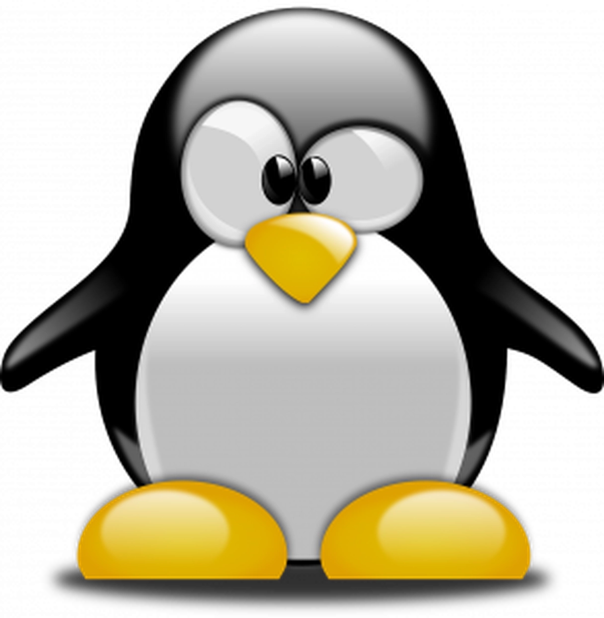Has Penguin Gone Crazy?