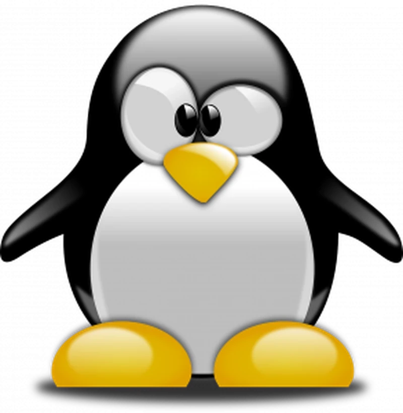 Back to the Basics with Penguin