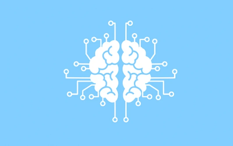 Google to make multiple changes to search algorithms and results